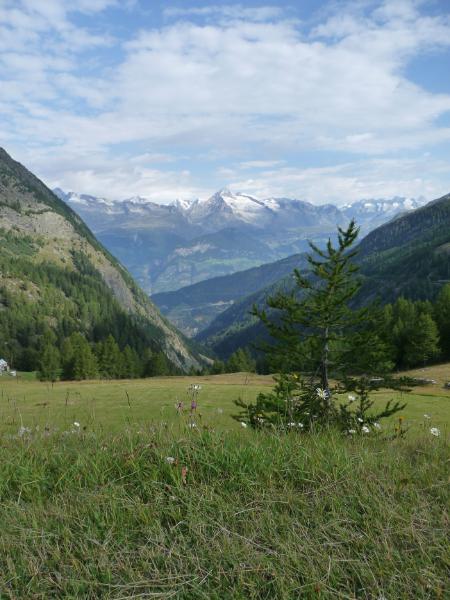 0090_P1330338.JPG - Blick auf die Berner Alpen